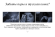 Тканевая протеиновая маска с экстрактом ласточкиного гнезда  Images